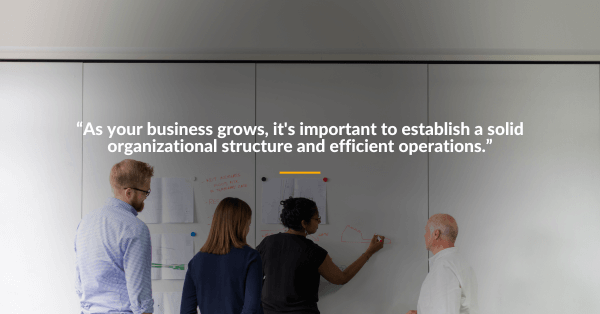 Establish your organizational structure and operations